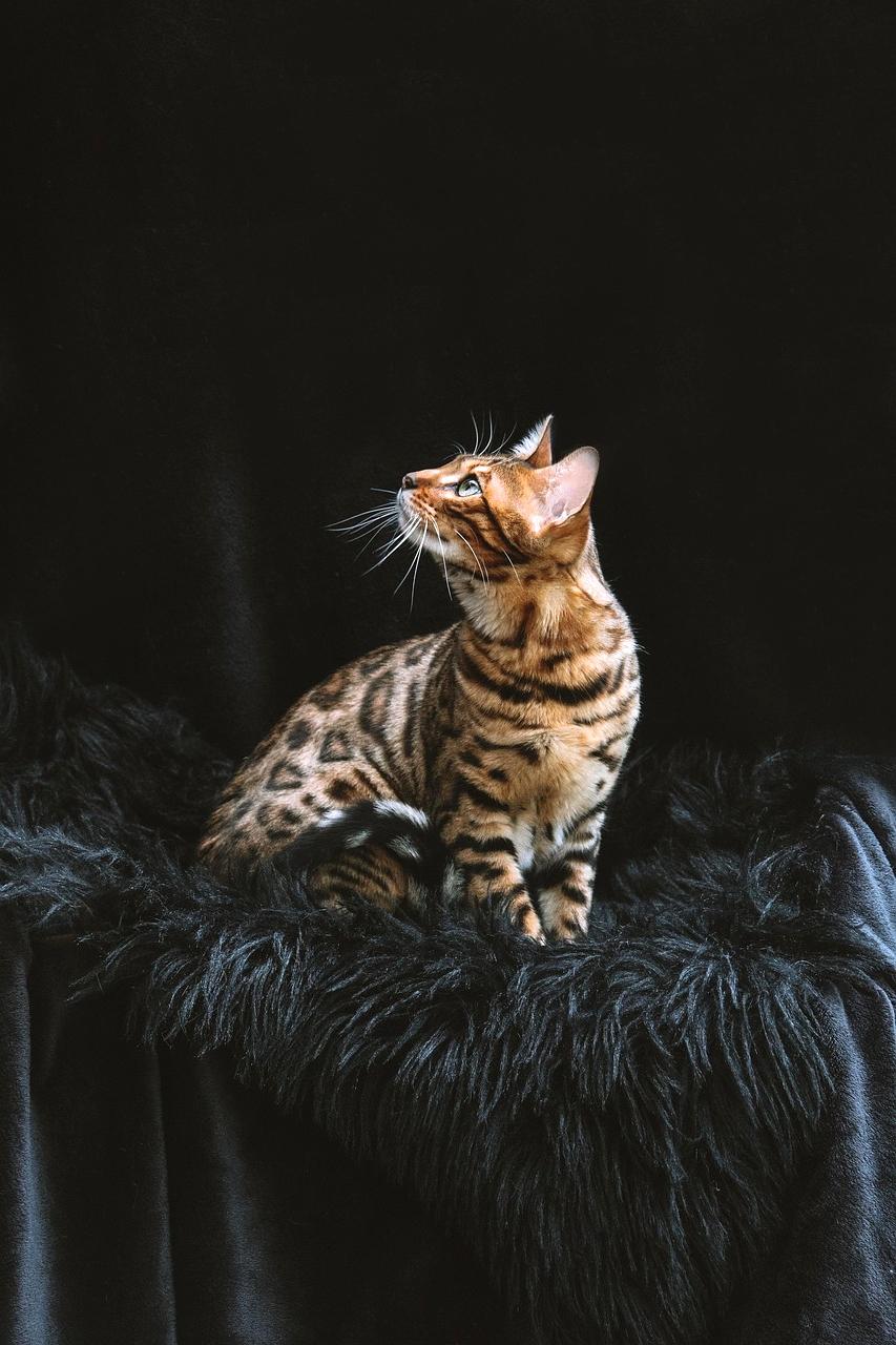 Portrait of CEO Jane Müller